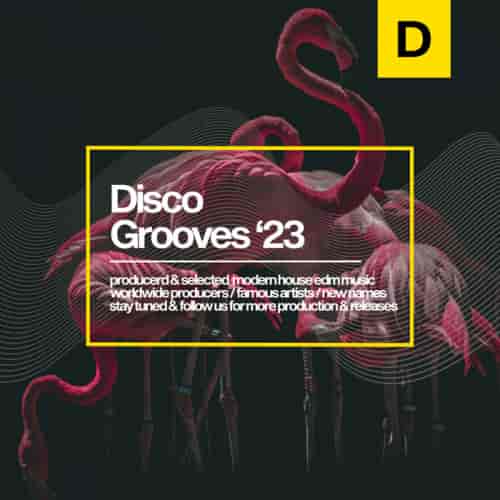 Disco Grooves 2023 (2023) скачать через торрент