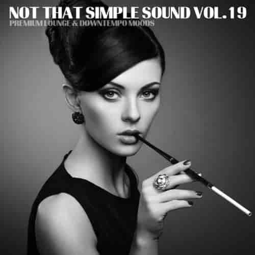 Not That Simple Sound, Vol. 19 (2023) скачать торрент