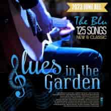 Blues In The Garden