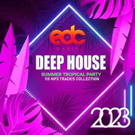 Deep House: Summer Tropical Party (2023) скачать через торрент