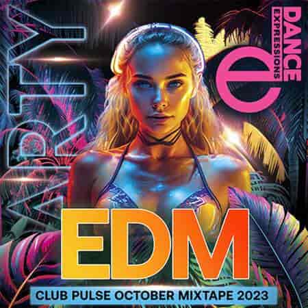 EDM Clubbing Pulse Music (2023) скачать через торрент
