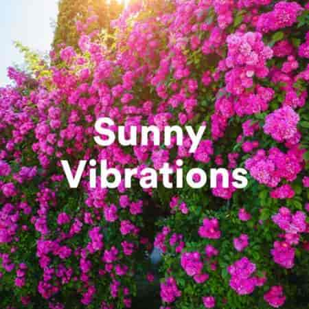 Sunny Vibrations (2023) скачать через торрент