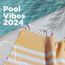 Pool Vibes 2024 (2024) скачать торрент