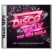 Discofox Top Hits 2023 [02] (2023) скачать торрент