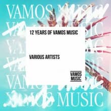 12 Years of Vamos Music (2024) скачать торрент