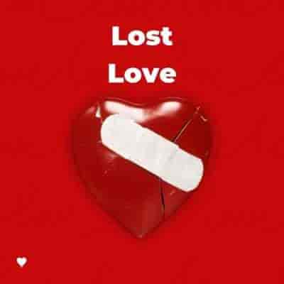 Lost Love (2024) скачать торрент