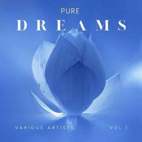 Pure Dreams, Vol. 1 (2024) скачать торрент