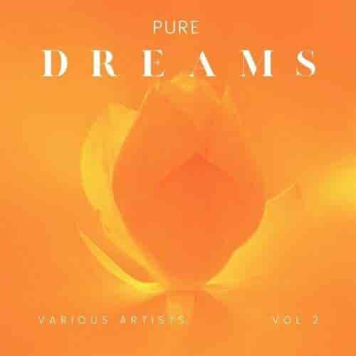 Pure Dreams, Vol. 2 (2024) скачать через торрент