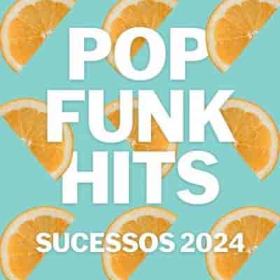 Pop Funk Hits - Sucessos (2024) скачать торрент