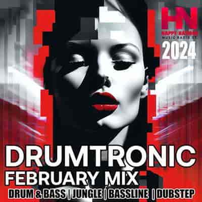 Drumtronic February Mix (2024) скачать торрент