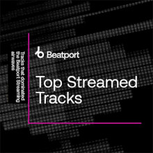 Top Streamed Tracks (2024) скачать торрент
