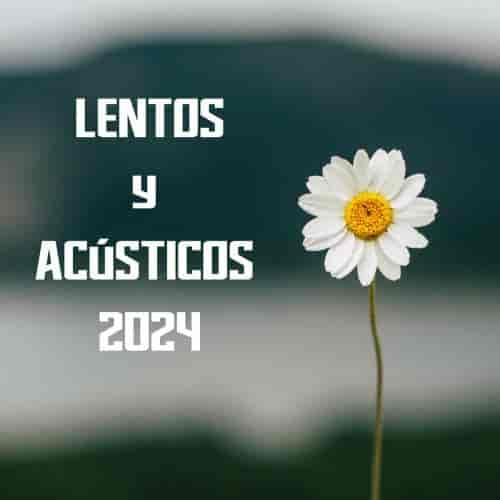 Lentos y acusticos 2024 (2024) скачать торрент