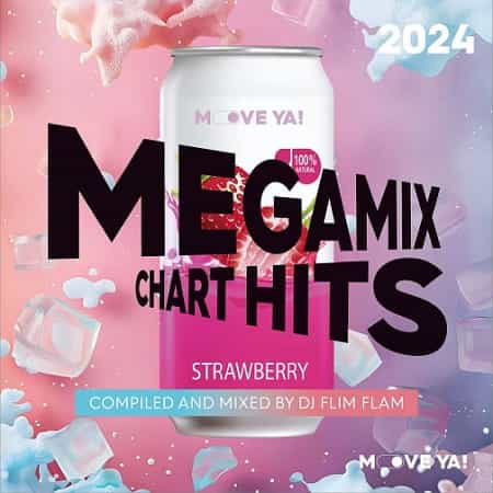 Megamix Chart Hits 2024 (Compiled and Mixed by Flim Flam) (2024) скачать торрент