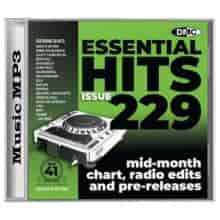 DMC Essential Hits 229