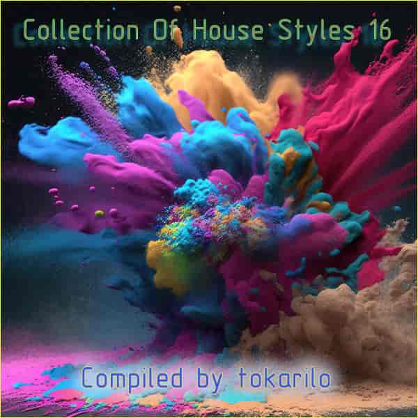 Collection Of House Styles 16 [Compiled by tokarilo] (2024) скачать через торрент