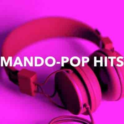 Mando-pop Hits 華語經典金曲 (2024) скачать торрент