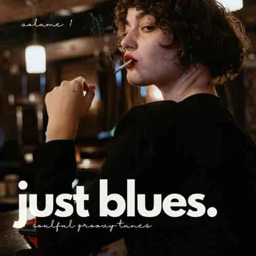 Just Blues (Soulful Groovy Tunes, Vol. 1) (2024) скачать торрент