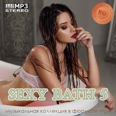 Sexy Bath 5 (2024) скачать торрент