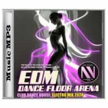 EDM Dance Floor Arena (2024) скачать торрент