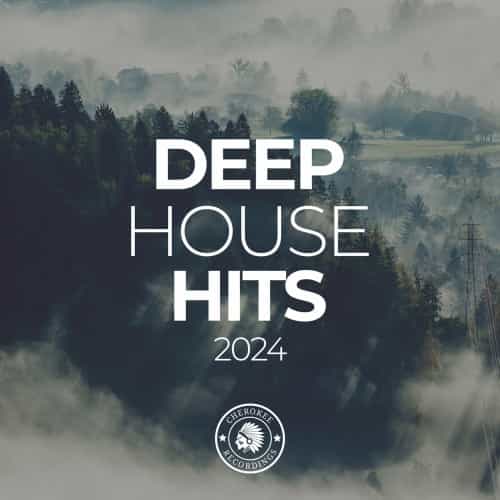 Deep House Hits 2024 (2024) скачать торрент