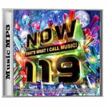 Now That's What I Call Music! 119 [2CD]