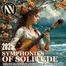 Symphonies Of Solitude (2025) скачать торрент