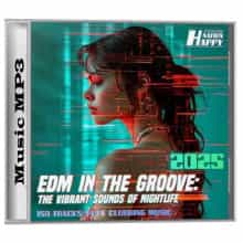 EDM In The Groove: Edition 02