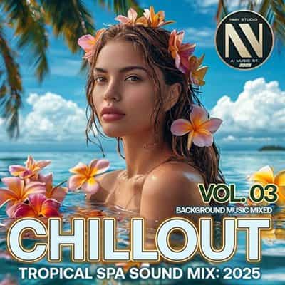 Chillout Tropical SPA Sound Mix, Vol. 03