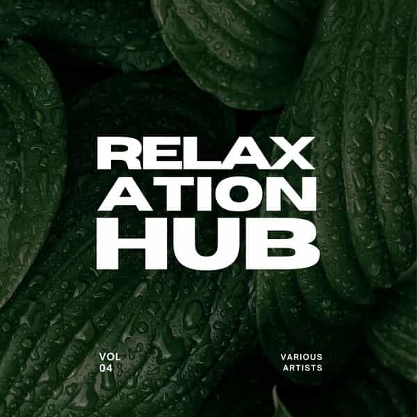 Relaxation Hub, Vol 4 (2025) скачать торрент