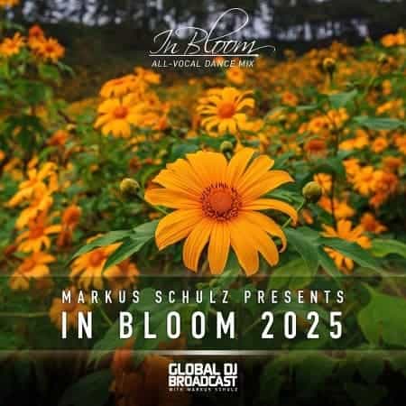 Markus Schulz - In Bloom 2025 (Vocal Dance Mix) (2025) Markus Schulz - In Bloom 2025 (Vocal Dance Mix) (2025) скачать торрент
