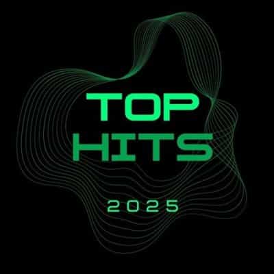 TOP HITS (2025) скачать торрент