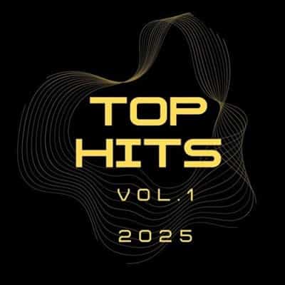 TOP HITS VOL.1 (2025) скачать торрент
