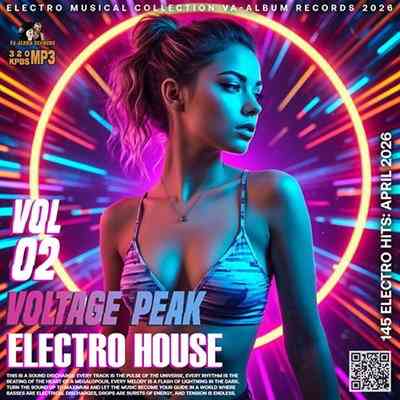 Voltage Peak Vol.02
