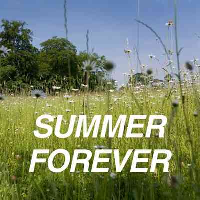 Summer Forever